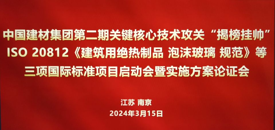 参与国际标准揭榜挂帅