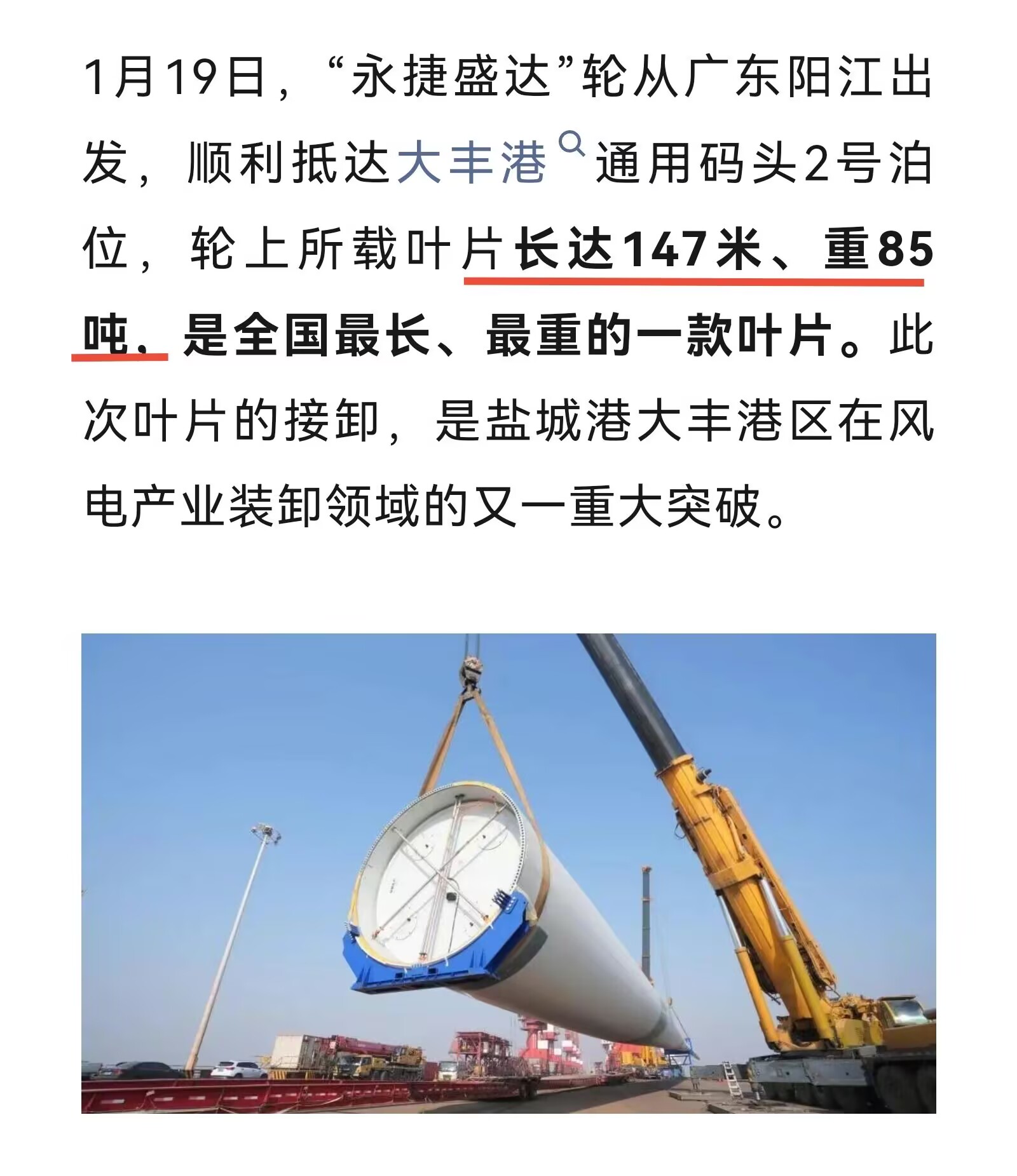 叶片长度.jpg