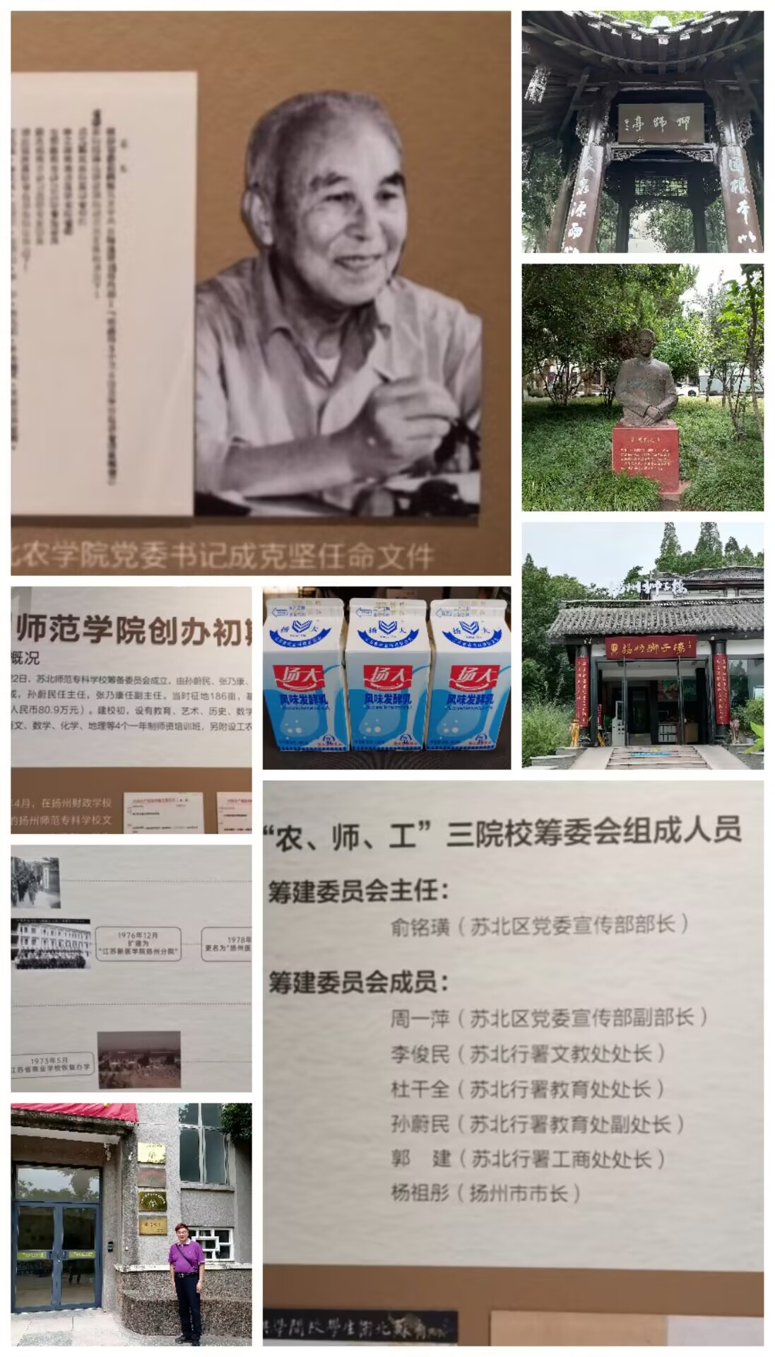 扬合3.jpg