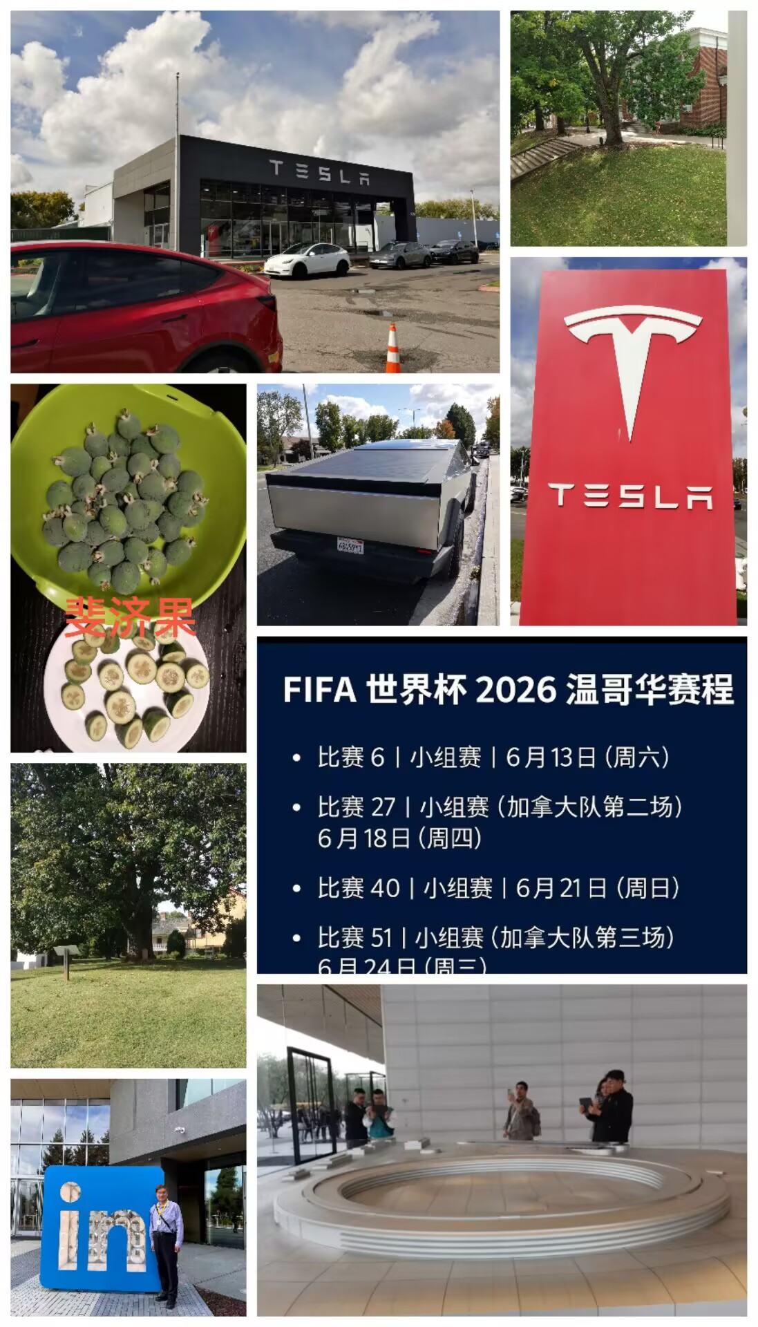 特斯拉合并.jpg