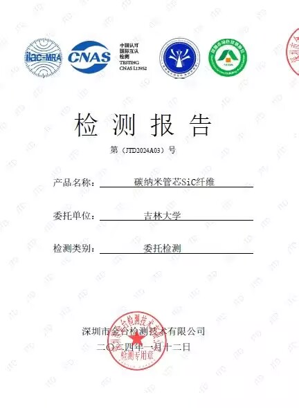 吉大SiC报告.jpg